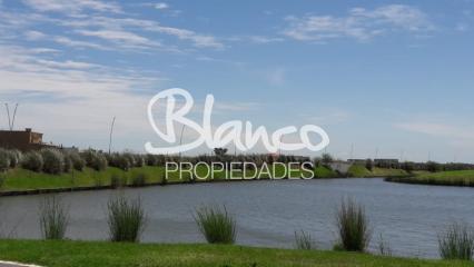 Imagen 13