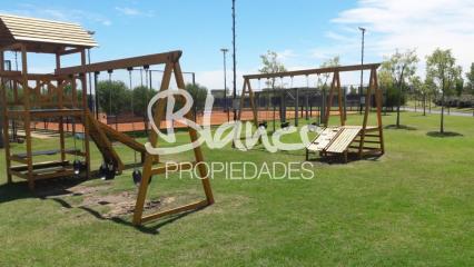 Imagen 5