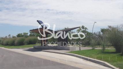 Imagen 8