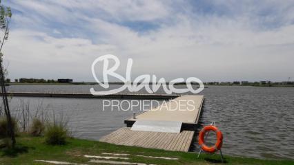 Imagen 11