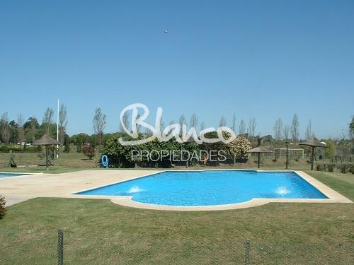 Imagen 4