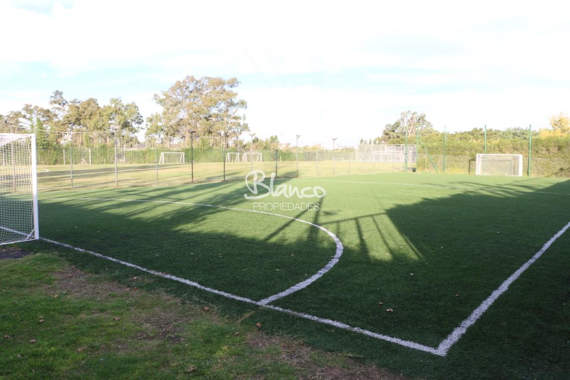 Imagen 11