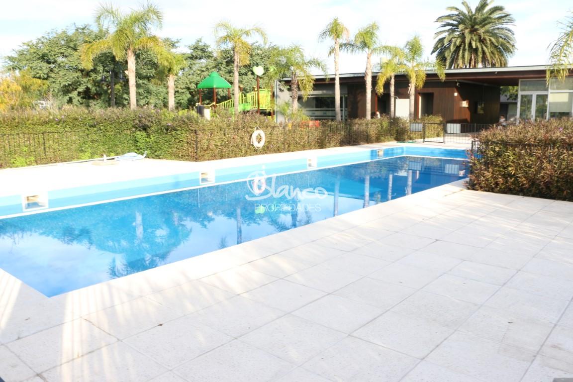 Imagen 8