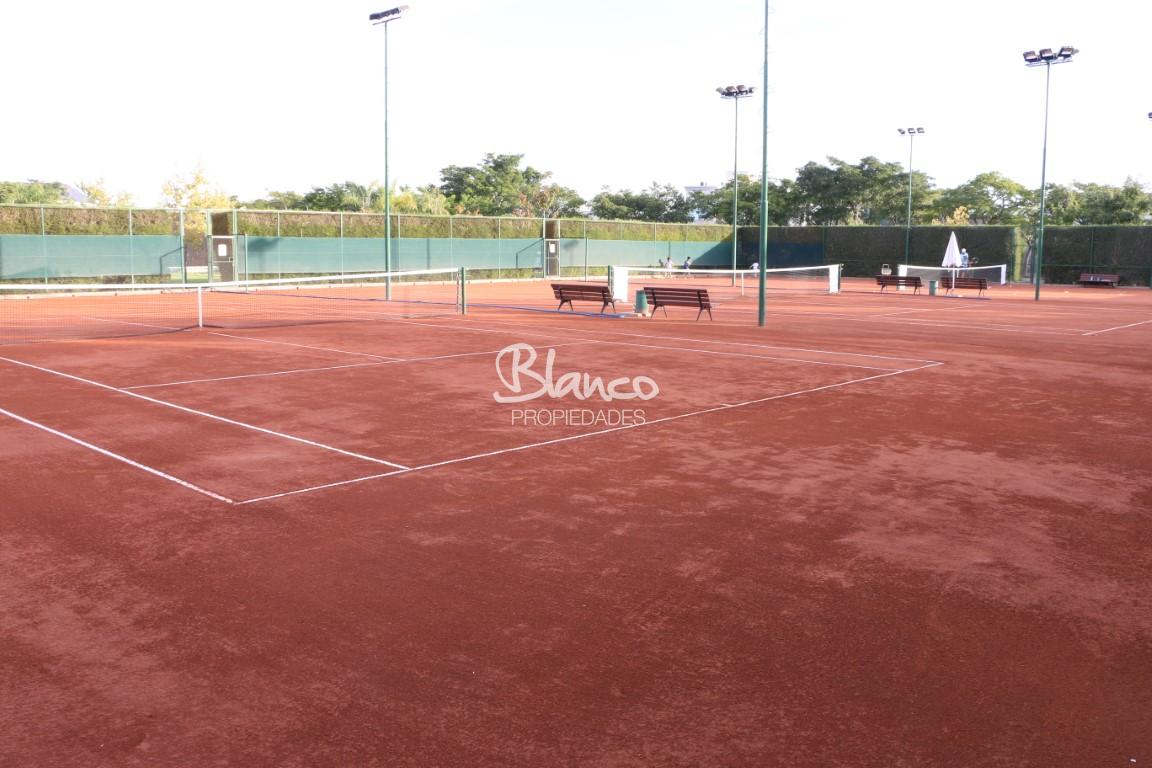 Imagen 9