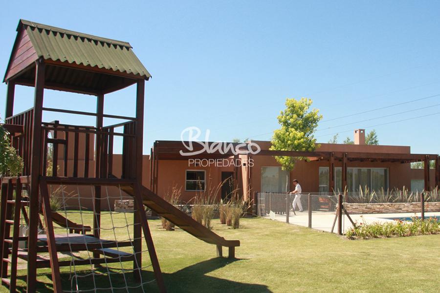 Imagen 4
