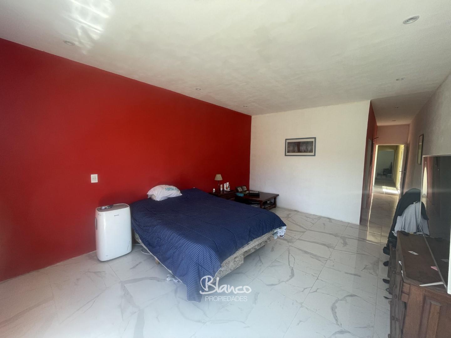 Imagen 12