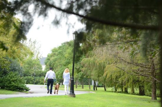Lote Central en La Estela