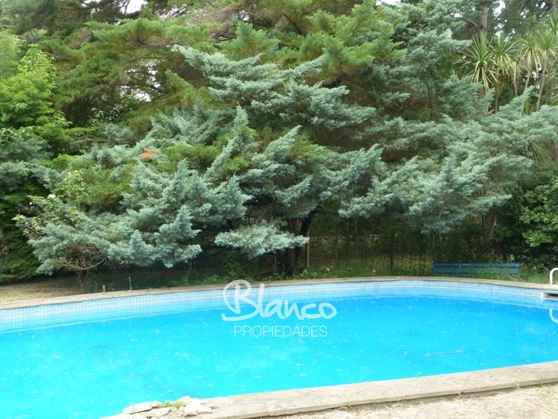 Imagen 7