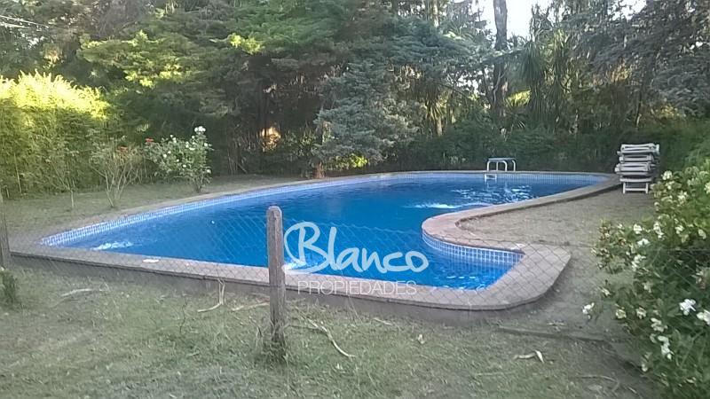 Imagen 8