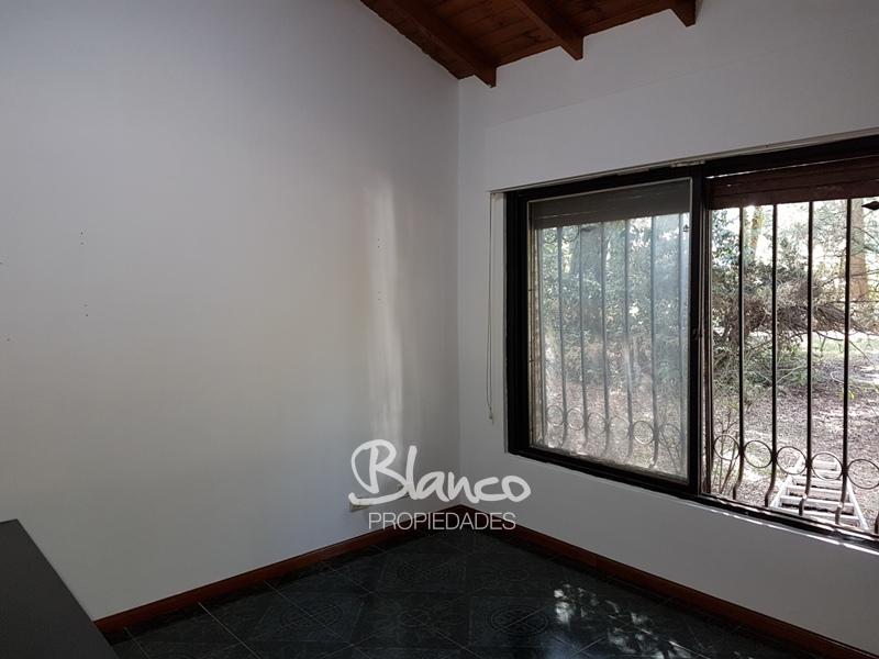 Imagen 13