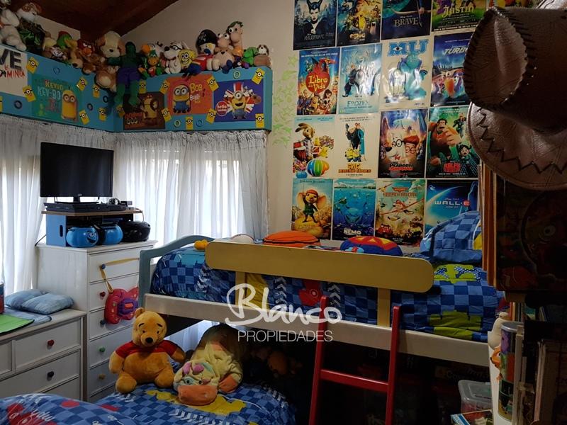 Imagen 15