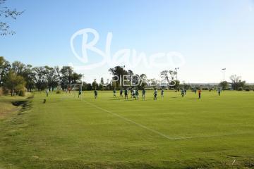 Imagen 5