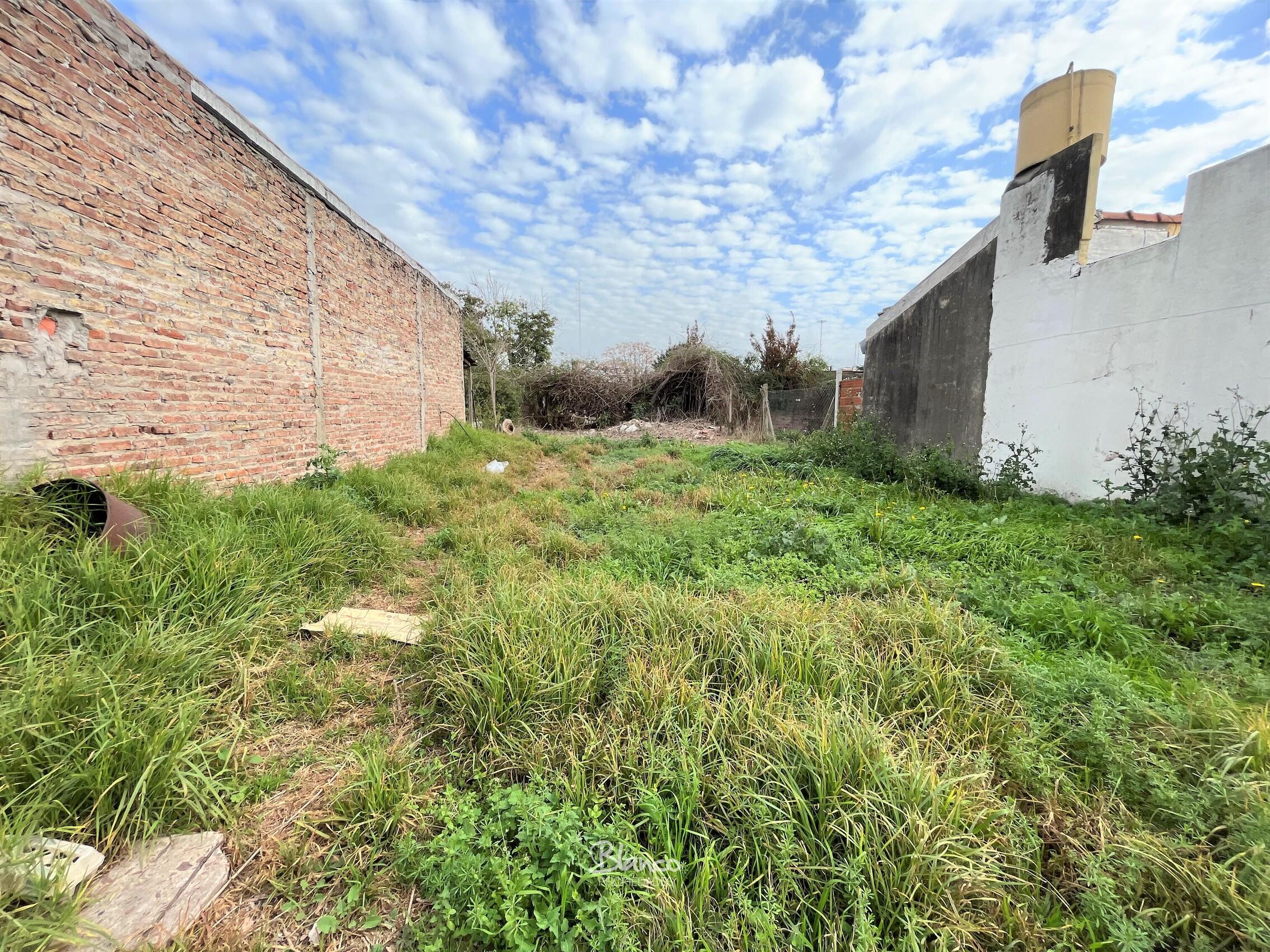 Imagen 3