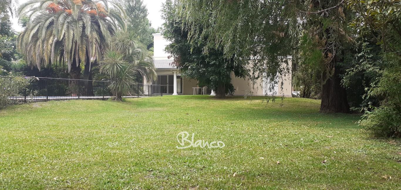 Imagen 5