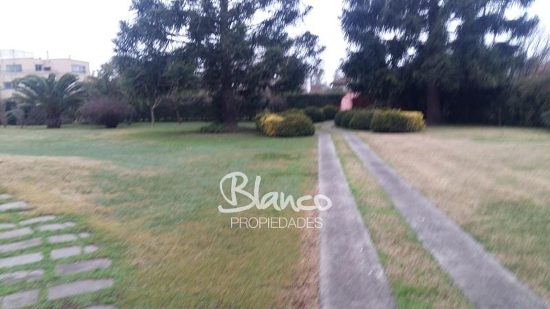 Imagen 6
