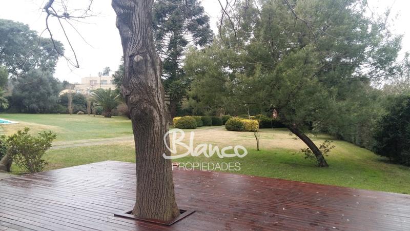 Imagen 9