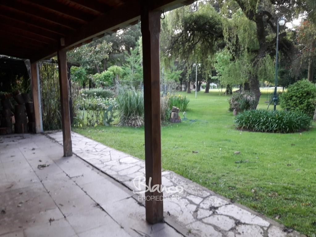 Imagen 13