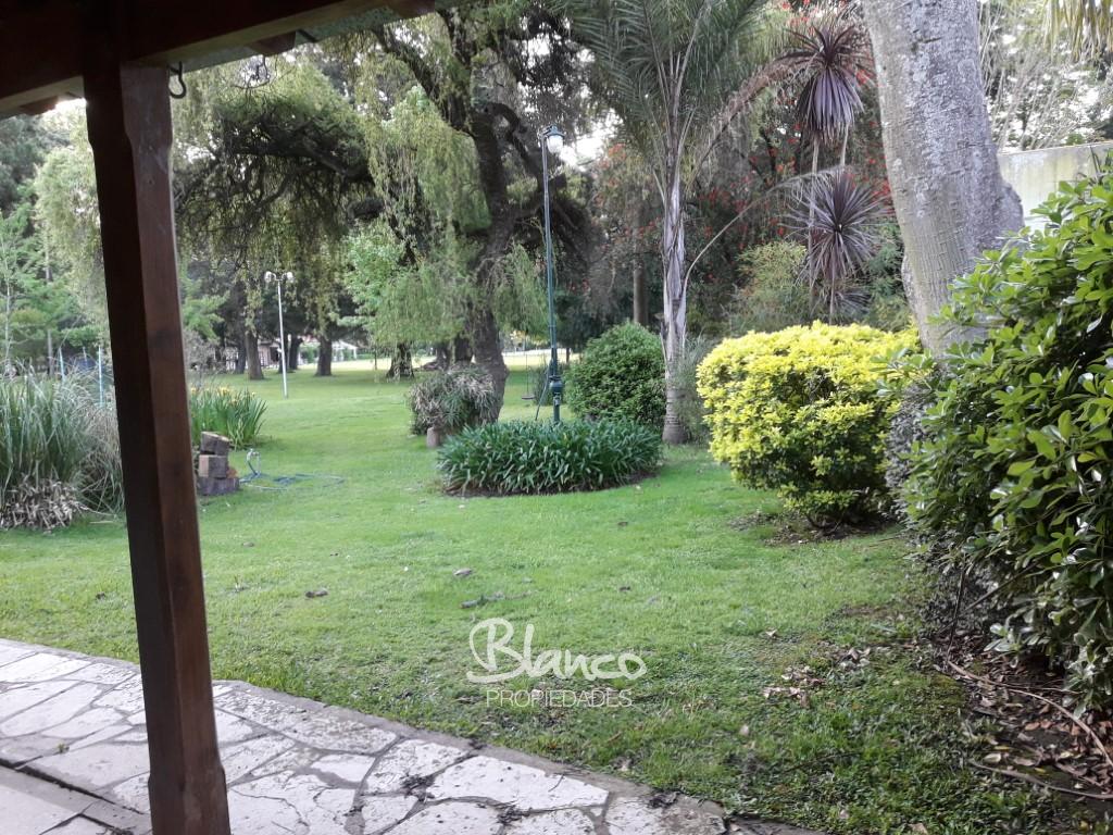 Imagen 14
