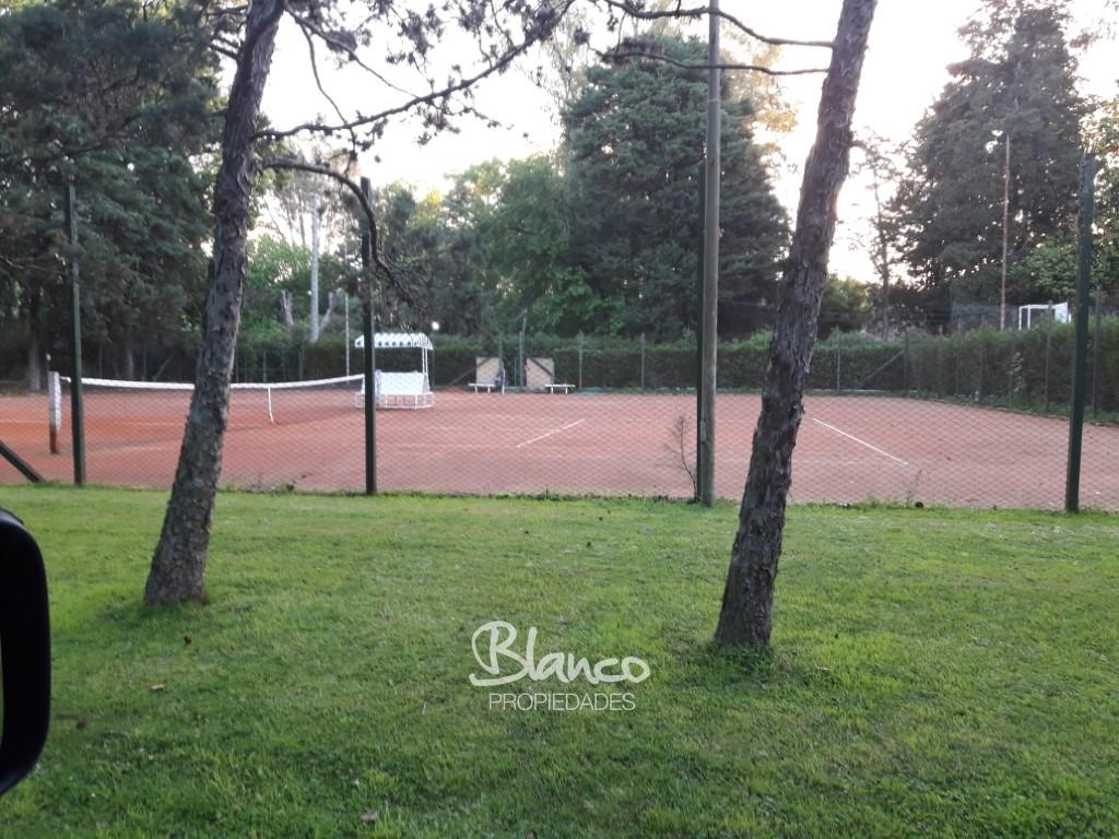 Imagen 18