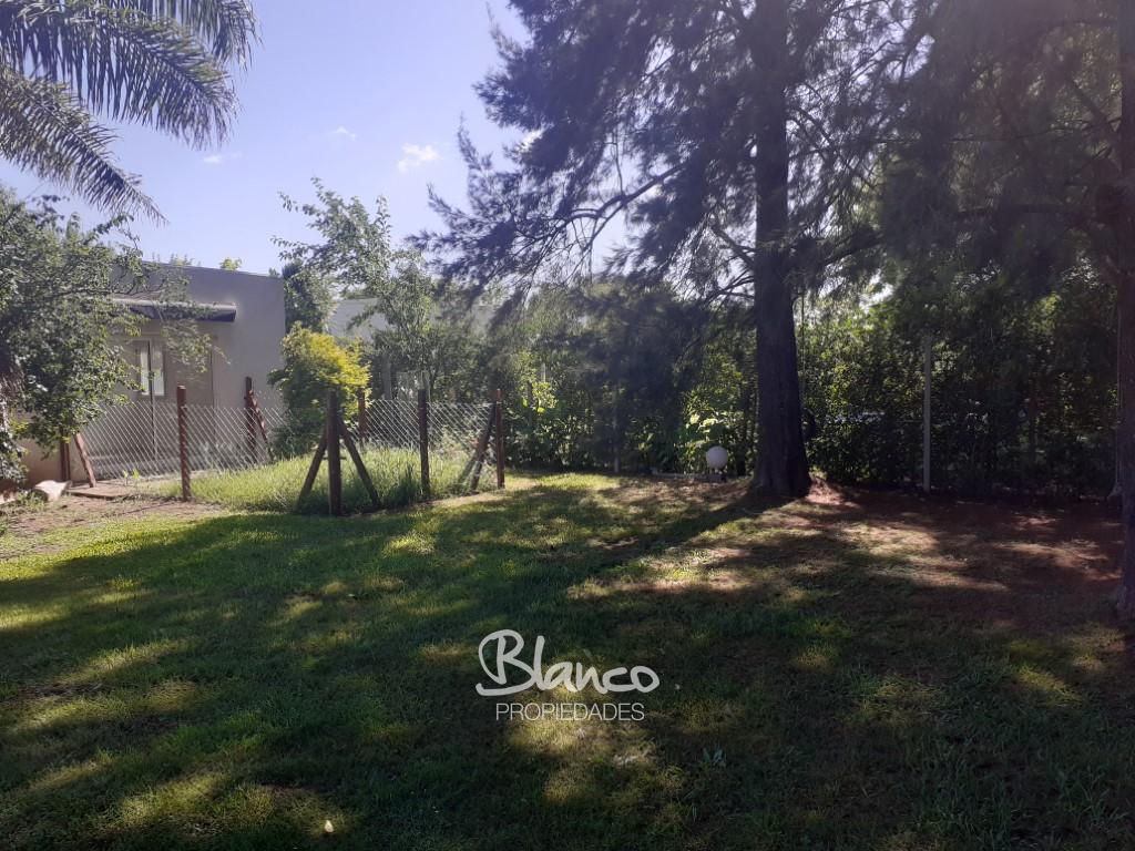 Imagen 5