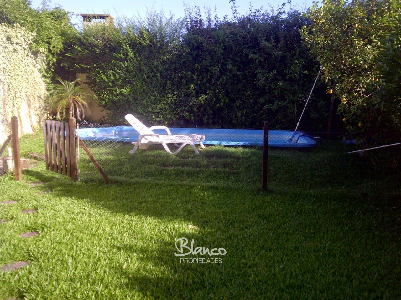 Imagen 5