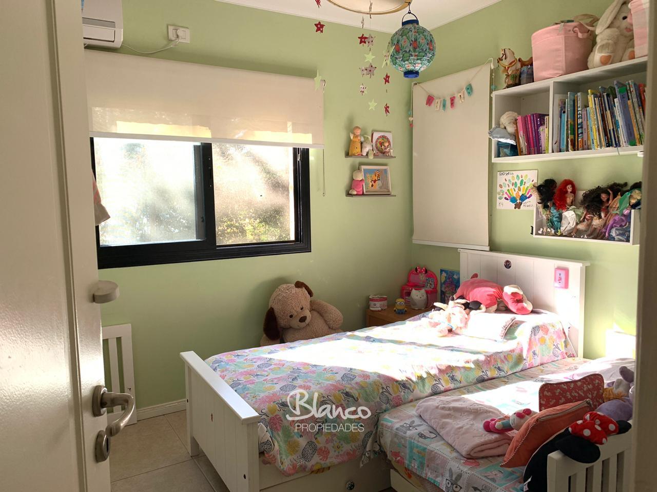 Imagen 5