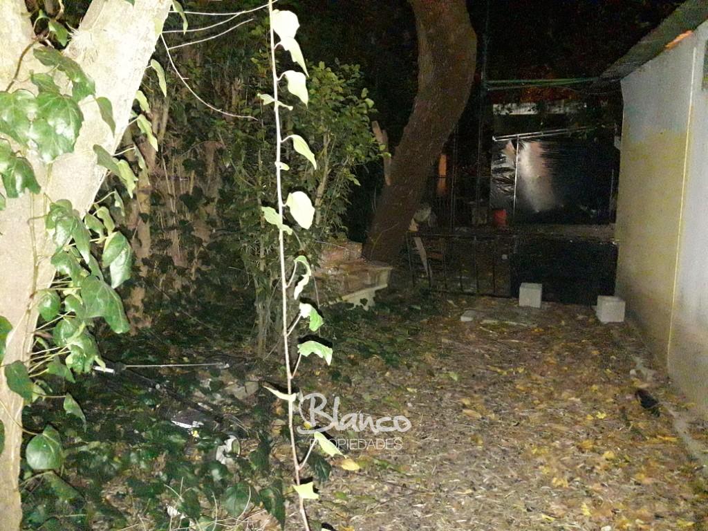 Imagen 5