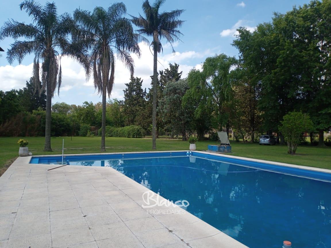 Imagen 12