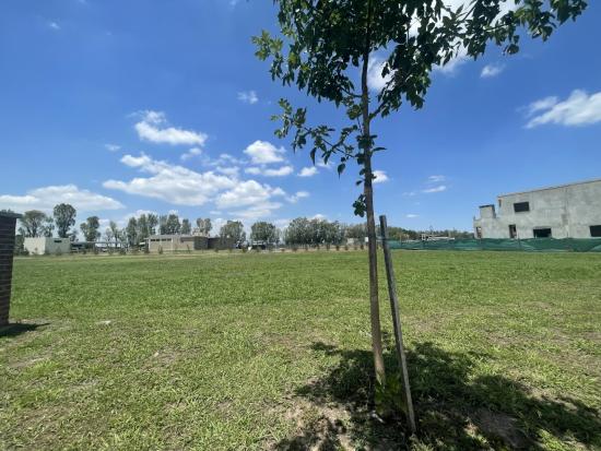 Lindo Lote dentro de Pilar del Este - Santa Lucía
