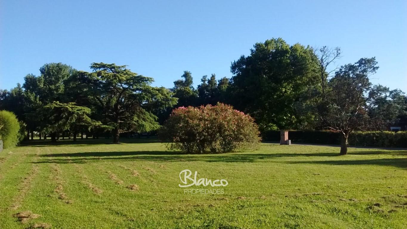 Imagen 8