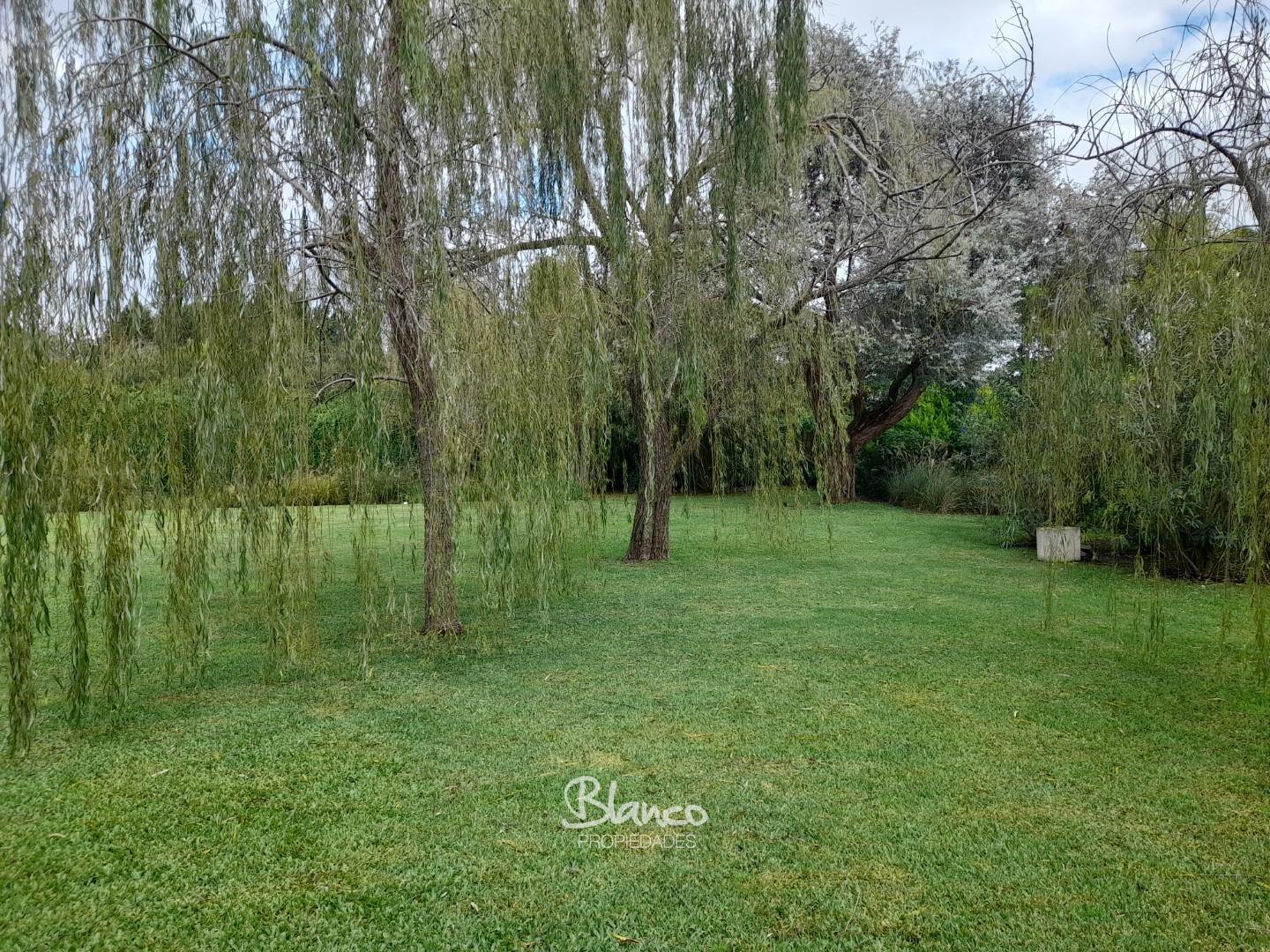Imagen 7