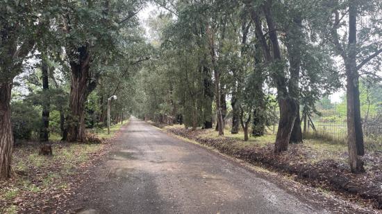 Muy linda casa de campo en venta en La Alborada