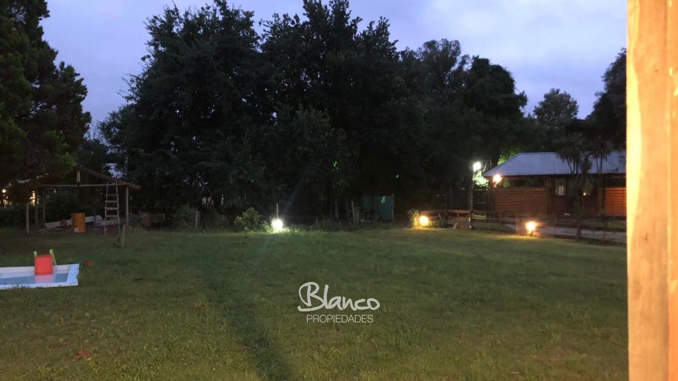 Imagen 21