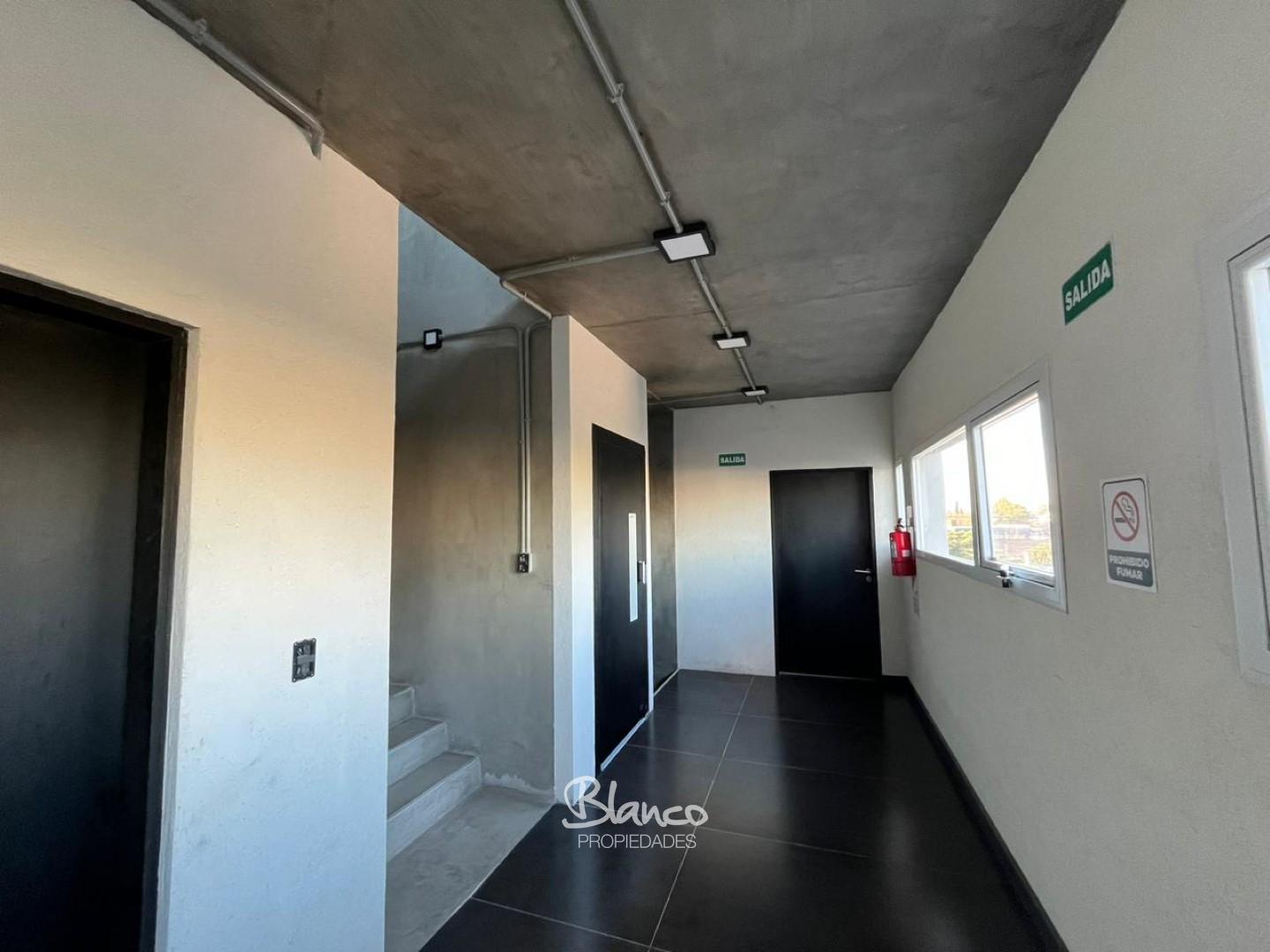 Imagen 5