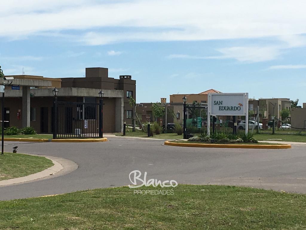 Imagen 9