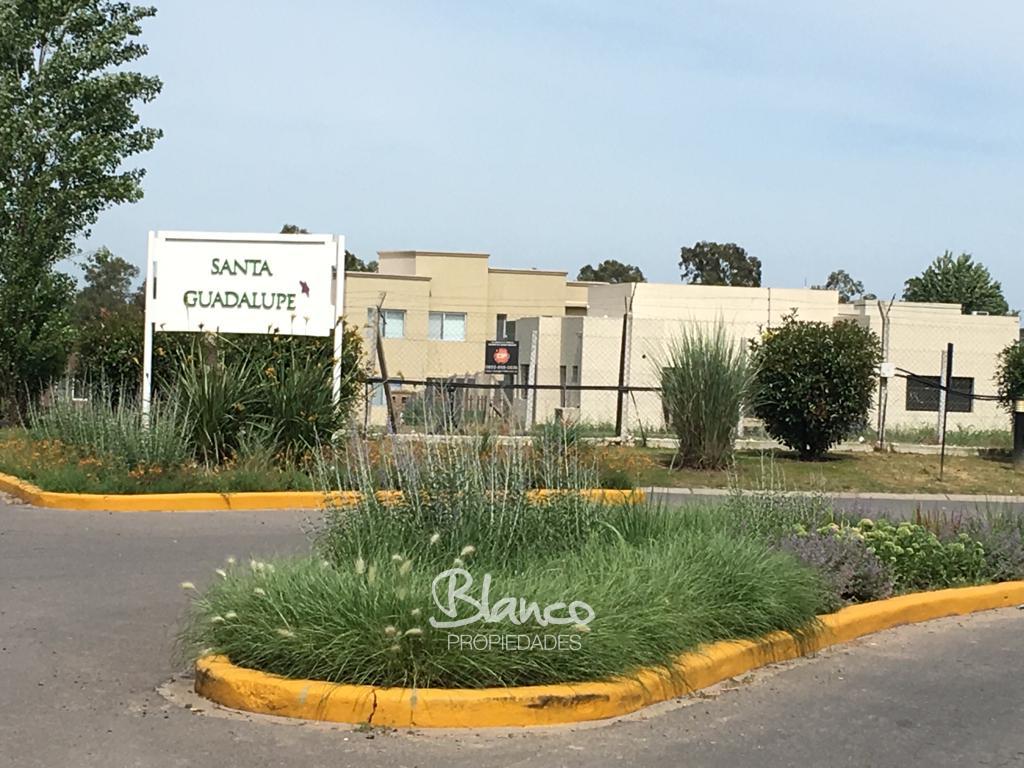 Imagen 8