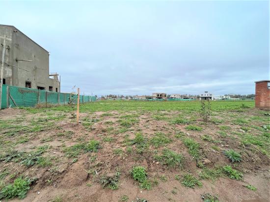 Gran Lote en Venta - Pilar del Este - Santa Elisa