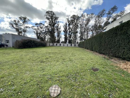 Lote en el Barrio Los Pilares