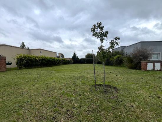 Venta de Lote, dentro de Pilar del Este - San Eduardo