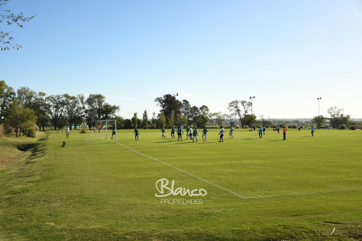 Imagen 6