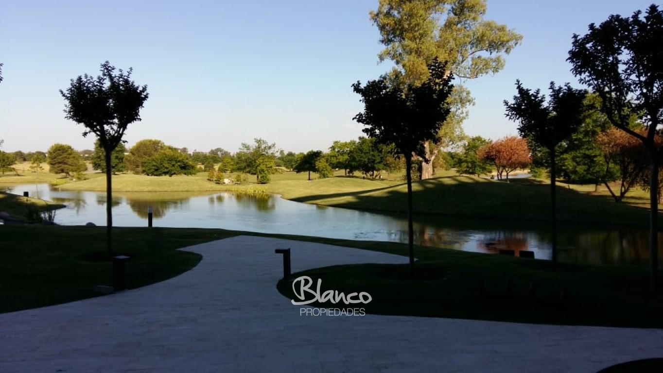 Imagen 6