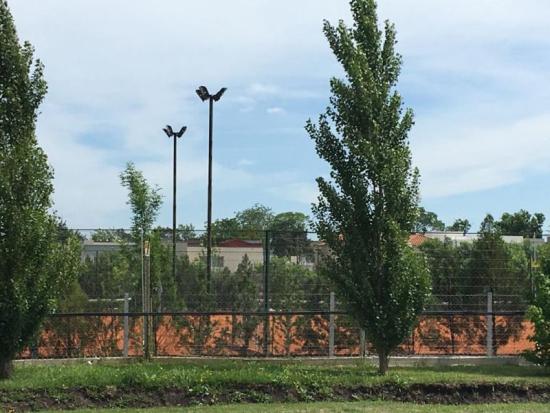 Lindo Lote dentro de Pilar del Este - Santa Lucía