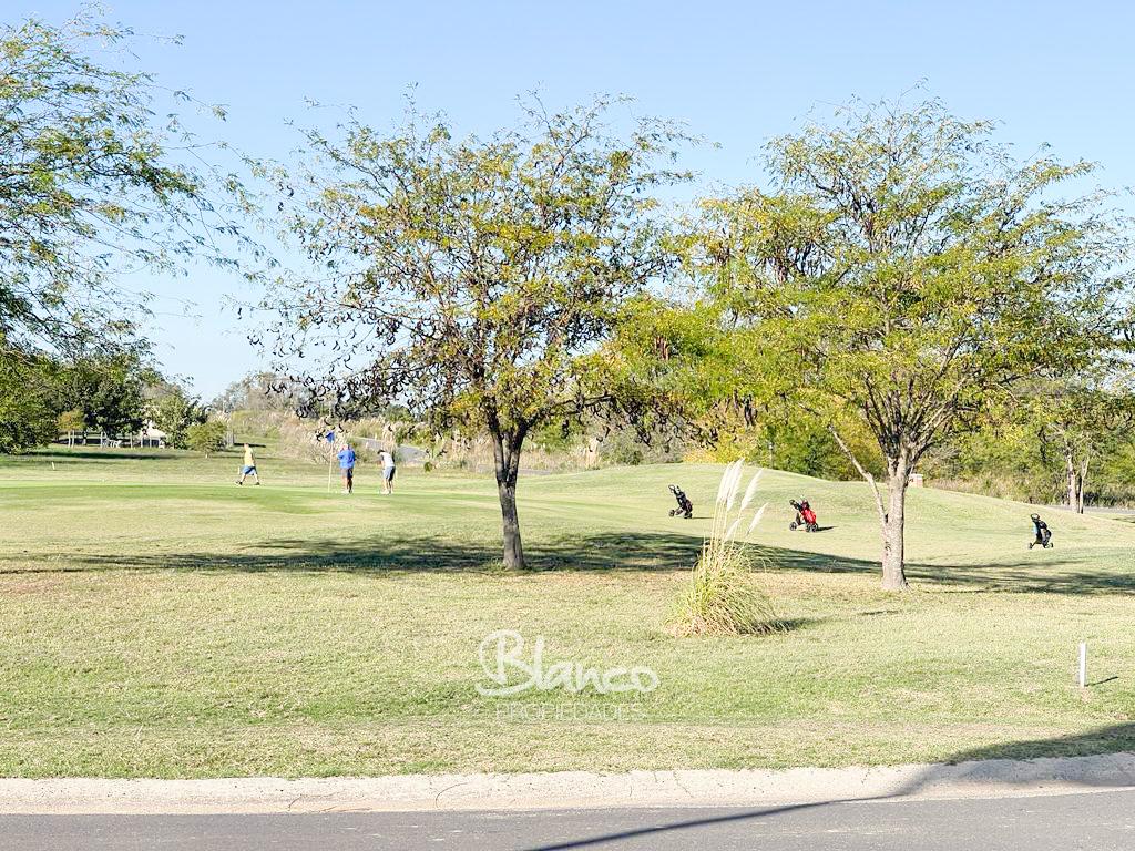 Imagen 5