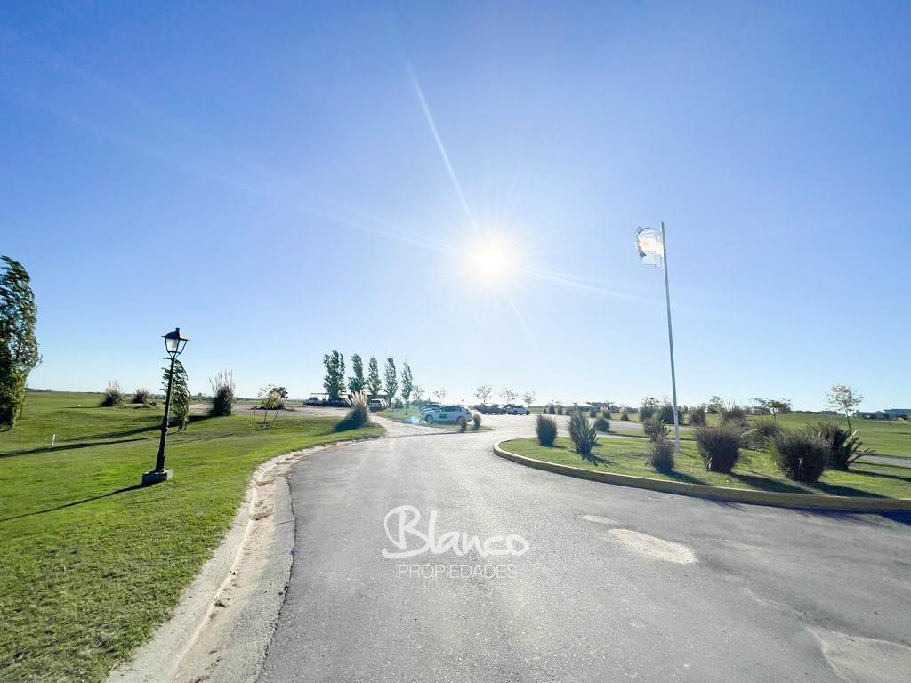 Imagen 9