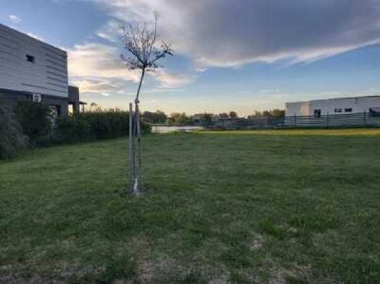  Lote a la Laguna - Santa Isabel II