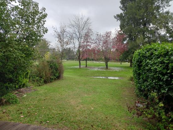 Hermoso Departamento - Farm Club