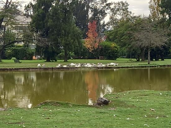 Hermoso Departamento - Farm Club