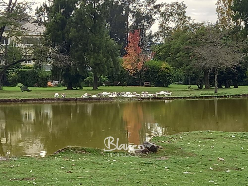Imagen 17
