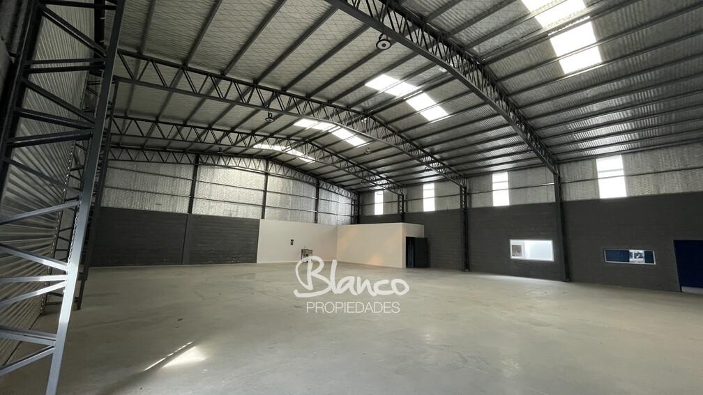 Imagen 5