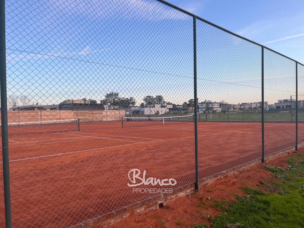 Imagen 8